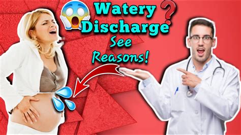 A woman may experience a watery discharge due to increased microbial flora changes in her vagina. . Watery discharge feels like i peed myself early pregnancy forum